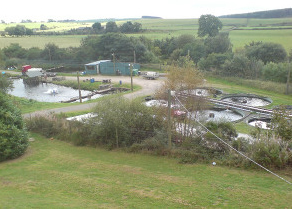 Trout Fishery