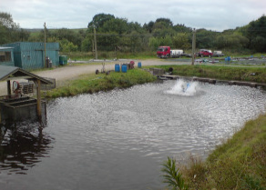 Ae Fishery