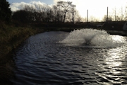 Trout Farm Scotland