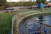 Trout Farm Scotland